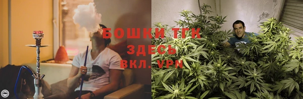 спиды Алексин